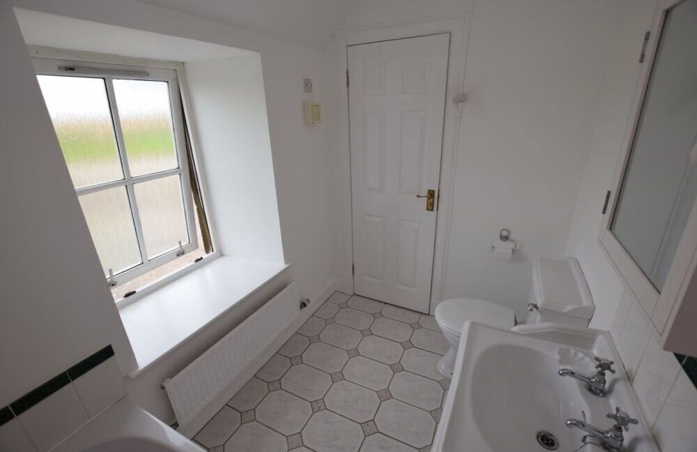 DSC_0027 (Large)